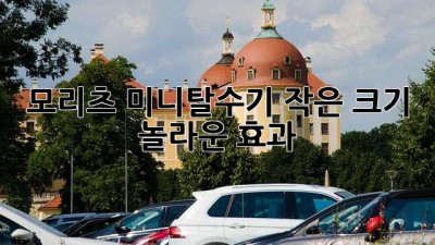 모리츠 미니탈수기: 작은 크기, 놀라운 효과!