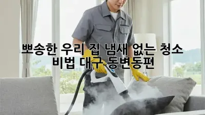 👃 뽀송한 우리 집, 냄새 없는 청소 비법 (대구 동변동편) 🏡