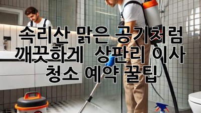 속리산 맑은 공기처럼 깨끗하게! ✨ 상판리 이사 청소 예약 꿀팁 🏡
